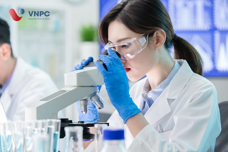 Đăng nhập King88 vina nhận +888K úc ngành công nghệ sinh học